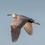 Keith Jones's picture